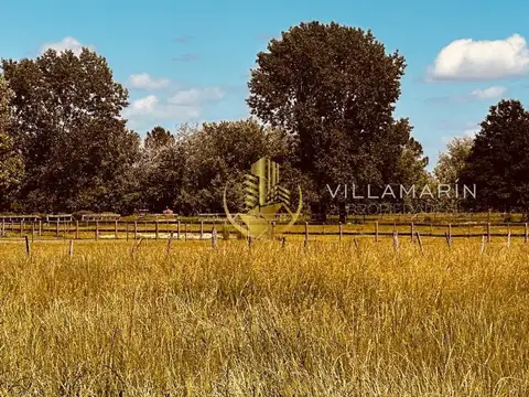 Haras El Malacate, Exaltación de la Cruz S/N