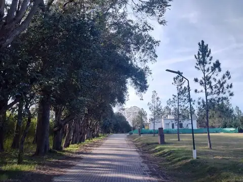 Terreno en Venta de 1096,0 m2