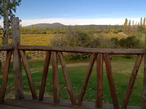 Terreno Campo  en Venta en Rama Caída, San Rafael, Mendoza, Argentina
