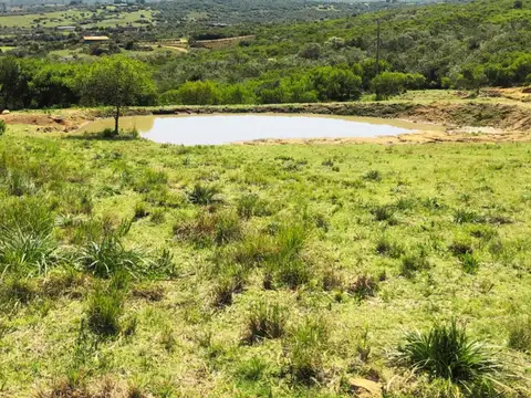 Chacra en venta en San Carlos, 6 hás con mejoras