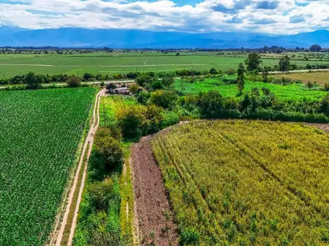 Cerrillos. San Agustín. Ruta Provincial 100