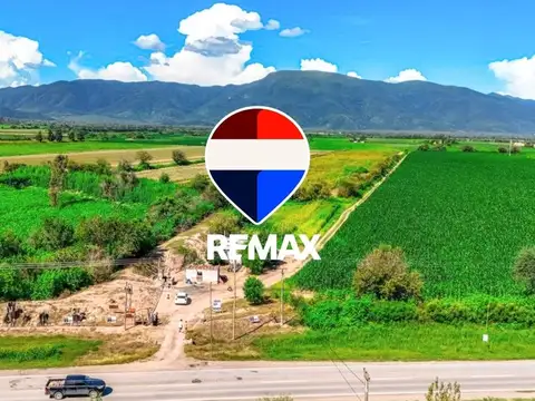 CAMPO VENTA 36 HECTAREAS SOBRE RP 21 CERRILLOS