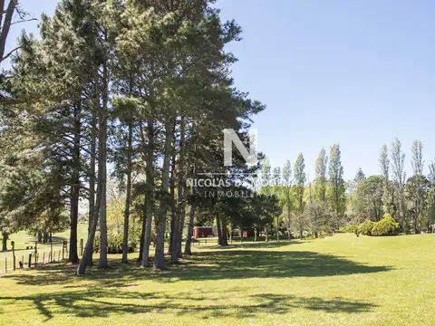 En venta casa de 4 dormitorios, con agradable entorno en Golf, Punta del Este.