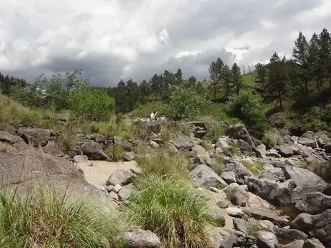 san miguel de los rios 100