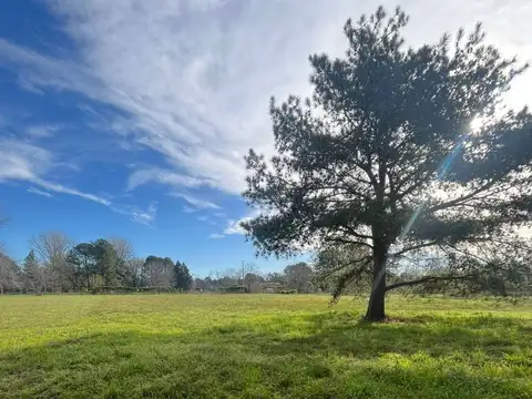 Venta terreno en capilla del señor