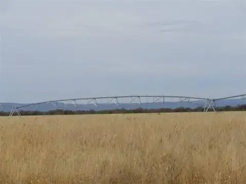 Campo  en Alquiler en Balde de Quines, Ayacucho, San Luis