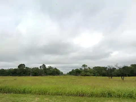 Campo en venta - 97 Hectáreas - Pampa Florida
