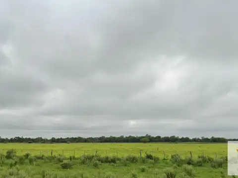 Campo en venta - 97 Hectáreas - Pampa Florida