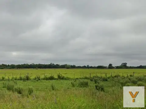 Campo en venta - 97 Hectáreas - Pampa Florida