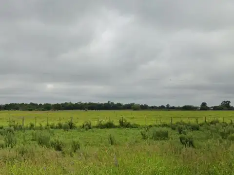 Campo en venta - 97 Hectáreas - Pampa Florida