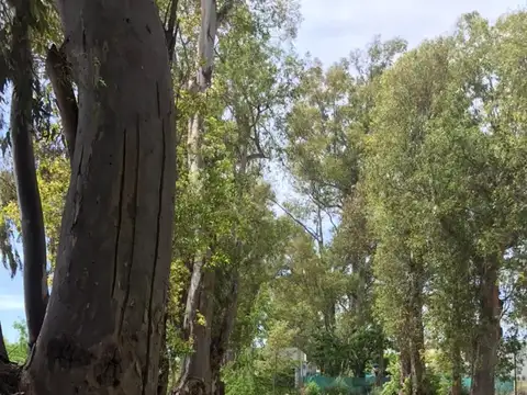 Terreno en Venta de 500,0 m2