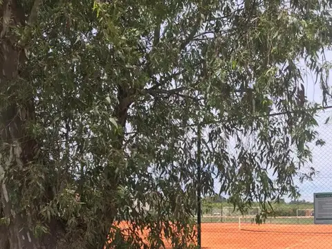 Santa Elena- Pilar del Este 100