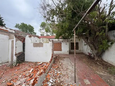 Maestras Gachet 3741