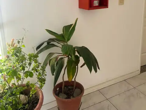 Departamento 5 ambientes con 2 baños