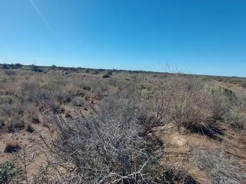 VENTA FINCA SANTA ROSA MENDOZA