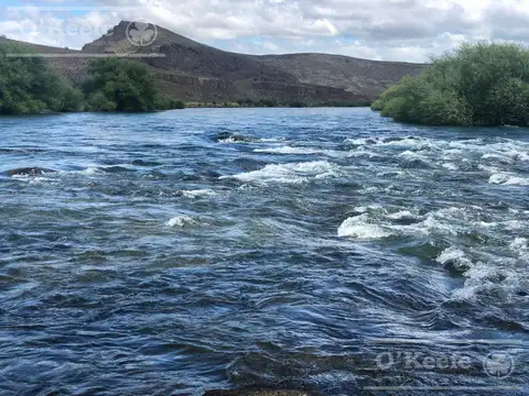 Bariloche  chacras Rio Limay 44 Has