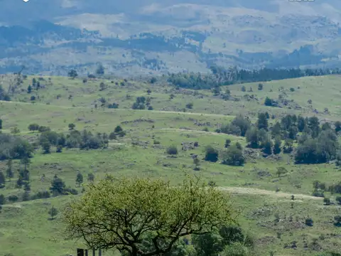 Lote en Yacanto - El Sereno. LOTES con ESCRITURA