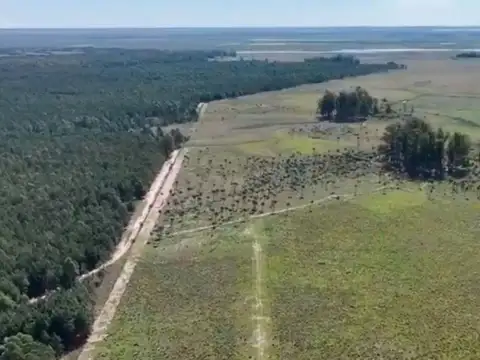 VENDO CAMPO GANADERO-FORESTAL – 1.863 HECTÁREAS