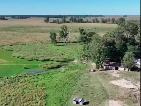 VENDO CAMPO GANADERO-FORESTAL – 1.863 HECTÁREAS