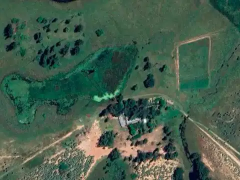 1.863 has Ganaderas/Forestales- Santa Rosa, Concepción, Corrientes