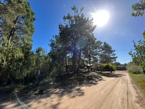 Necochea entre calle 32 y 31