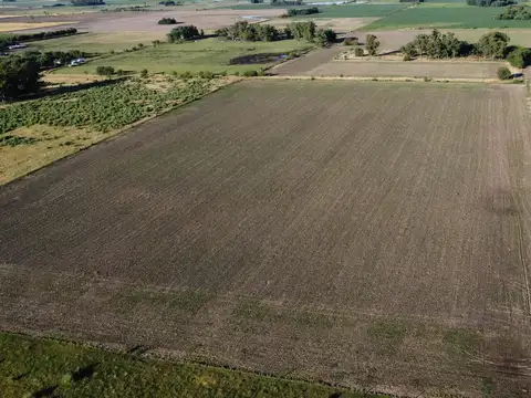 20 ha. agrícolas en Roque Pérez