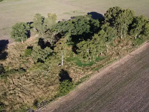20 ha agricolas en Roque Pérez