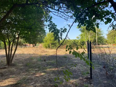 Terreno en Venta 45  mts Fondo