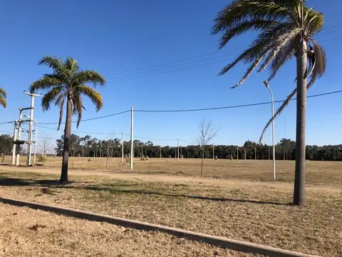 TERRENO TIERRA DE SUEÑO CASILDA