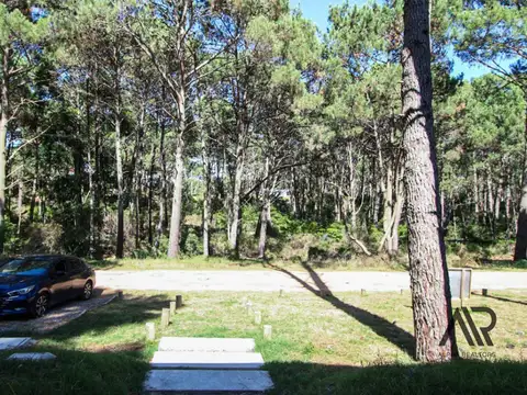 Club del