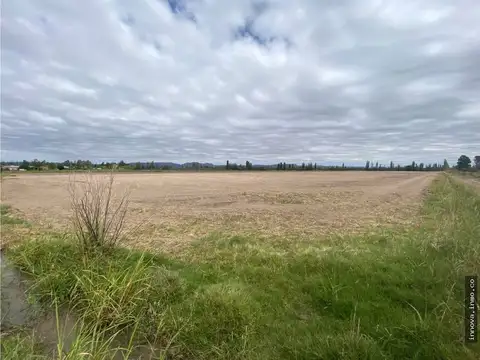 LOTEO SAN JOSE SAN RAFAEL