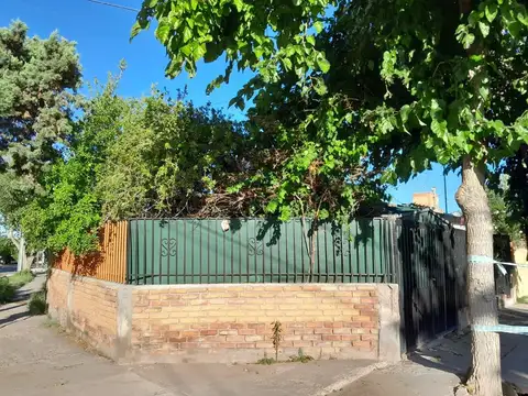 Doctor Salvador Civit 100