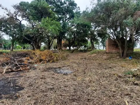 Terreno en Venta 12  mts Frente