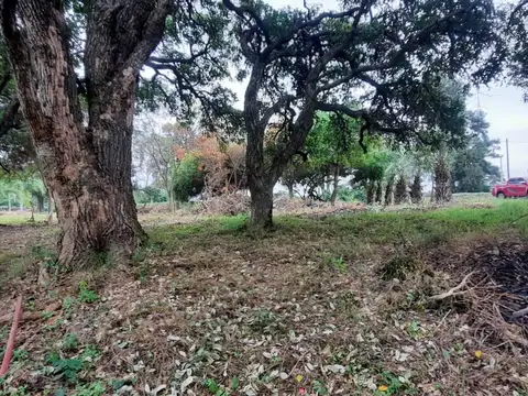 VENTA DE 2 LOTES SOBRE RUTA 1 , CON BAJADA PARA LANCHA ARROYO  LAUREL,DEBAJO DEL ARCO DE HELVECIA