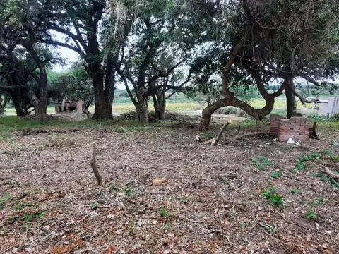 Terreno en Venta 50  mts Fondo