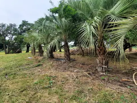 EXCLUSIVO VENTA DE 2 LOTES SOBRE RUTA 1 (EN PARQUE UBAJAY ,CARETEL DE HELVECIA) CON BAJADA ARROYO  LAUREL