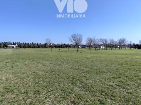 Terreno en Venta 40  mts Fondo