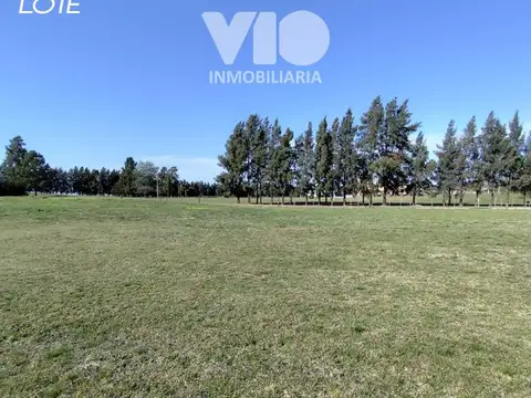 Terreno en Venta en Villa Elisa, USD 35.000