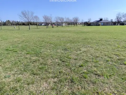 Terreno en Zona Termas en Villa Elisa
