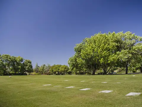 Ruta Panamericana, Colectora Oeste Ramal Pilar 5, B1613 Buenos Aires