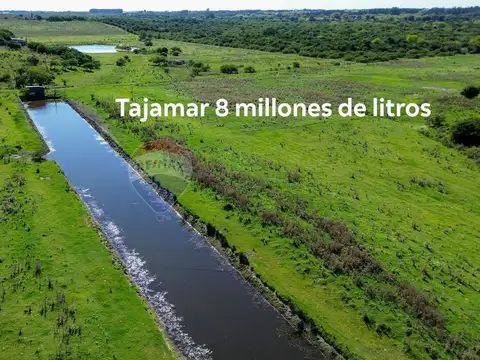 VENTA DE HECTAREAS, CAMPO EN LAS BRUJAS, CANELONES