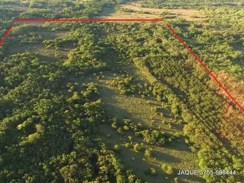 Chacra en VENTA EN Cerro Azul Misiones