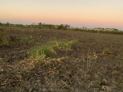 Terreno en Venta en Los Hornos, USD 110.000