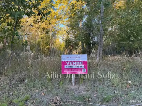 Terreno en Venta 20  mts Frente