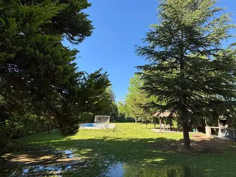 ROQUE SAENZ PEÑA 100