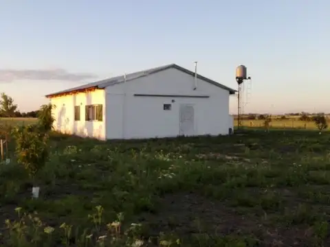 3 has casa quinta en Col. Villa Elisa