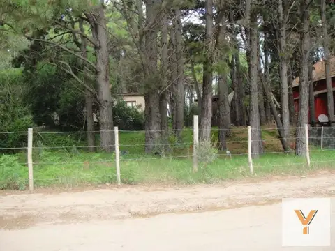 Mar del  Plata e/ 41 y 42