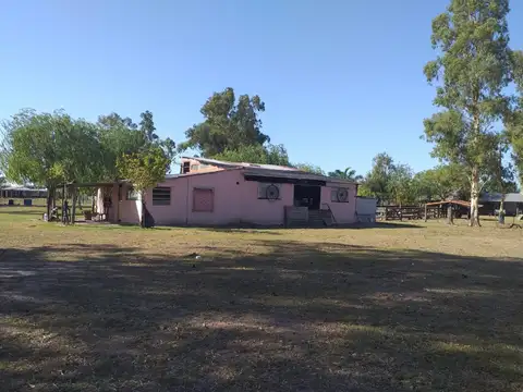 Campo Chacra en Venta en Domselaar, San Vicente