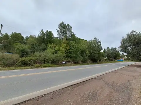 Ruta 38