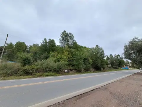 Ruta 38